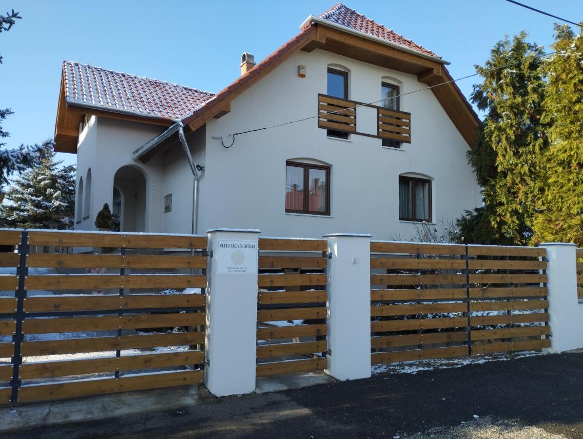 Апартаменти Eletvirag Rezidencia Es Vendeglak Егерсалок Екстер'єр фото